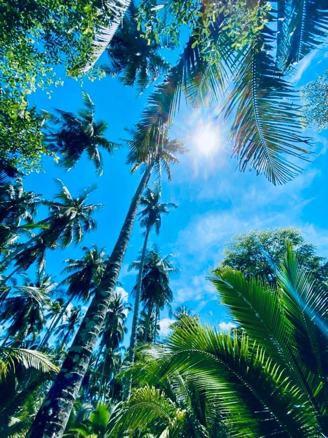 Suan Maprao Ko Kut Resort Экстерьер фото
