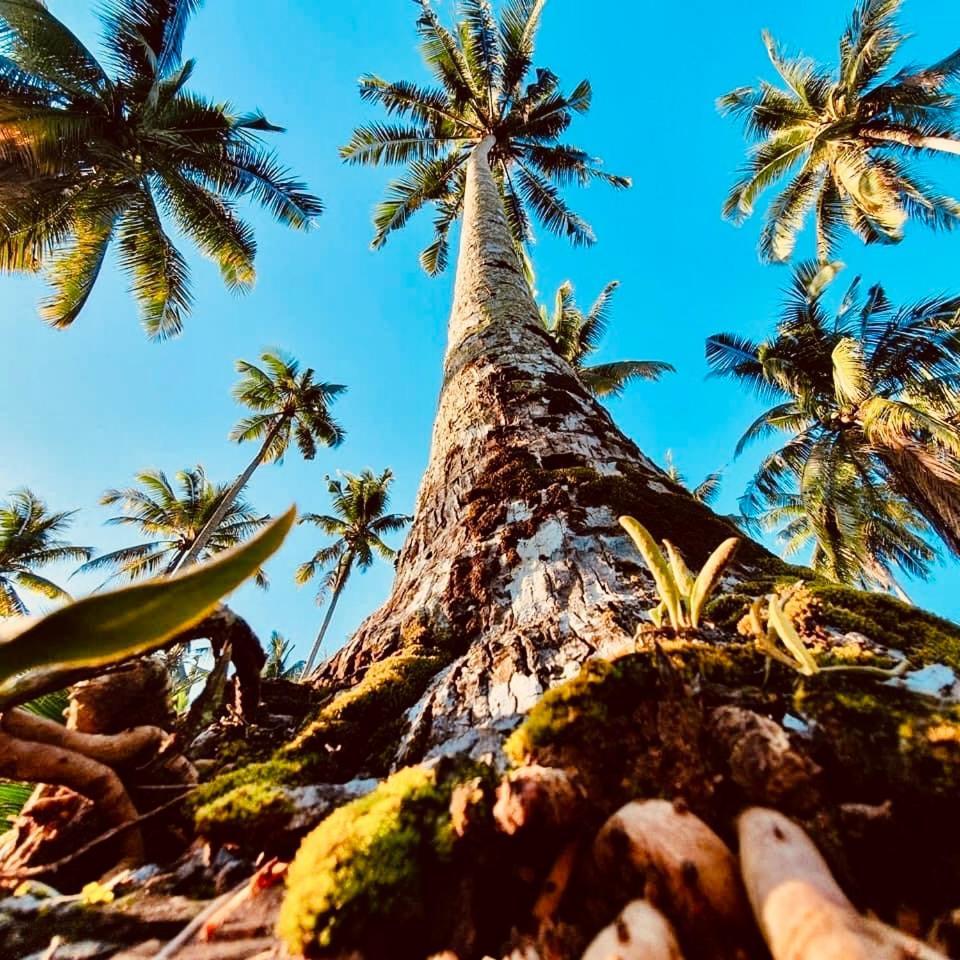 Suan Maprao Ko Kut Resort Экстерьер фото