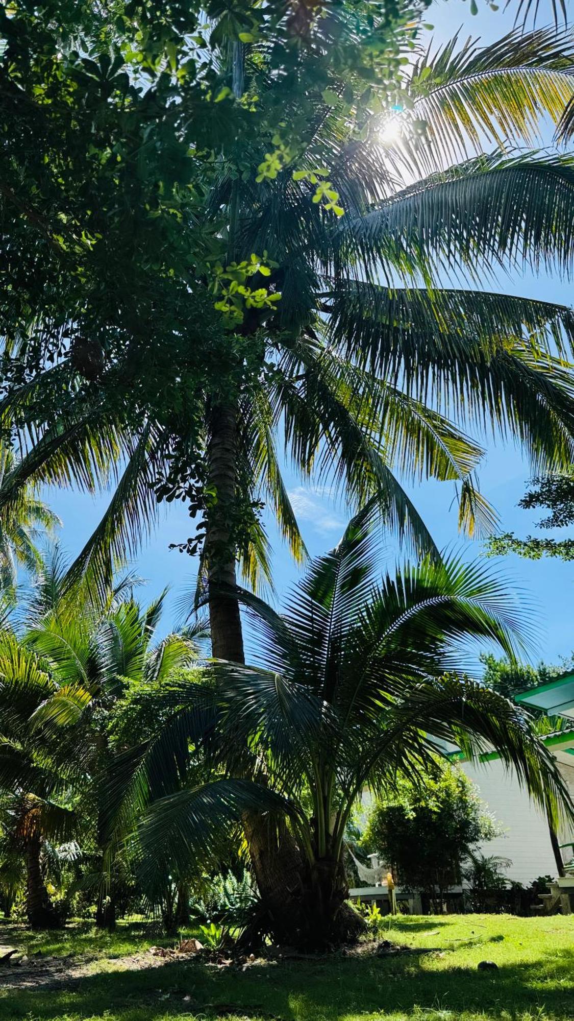 Suan Maprao Ko Kut Resort Экстерьер фото